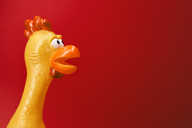 红色背景上的吱吱作响的橡胶鸡玩具图片下载