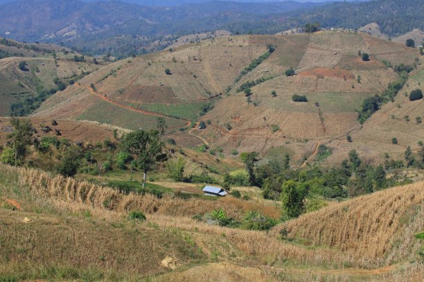 泰国北部班巴邦乡图片下载