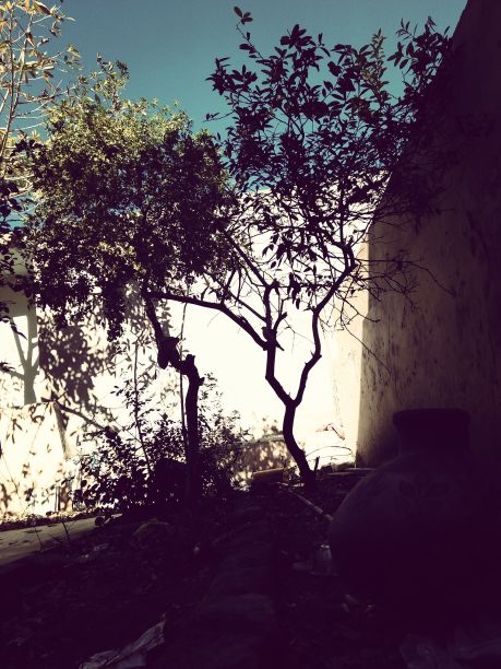 大自然的美丽图片下载