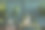时尚的家庭花园内部填充了许多美丽的植物，仙人掌，多肉植物，空气植物在不同的设计花盆。绿色墙壁嵌板。模板。家庭园艺概念家庭丛林。图片下载