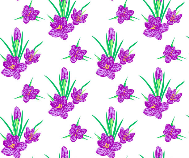 无缝花卉图案与野生春花观赏装饰背景。矢量模式。印刷纺织品，布料，墙纸，剪贴簿图片下载