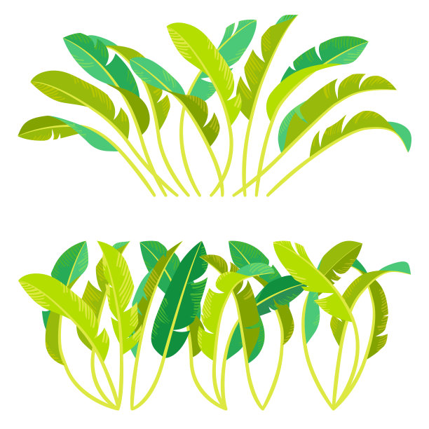 收集程式化的热带绿色叶子的图画图片下载