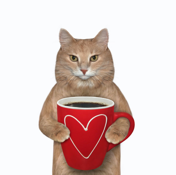 猫与红杯黑咖啡图片下载