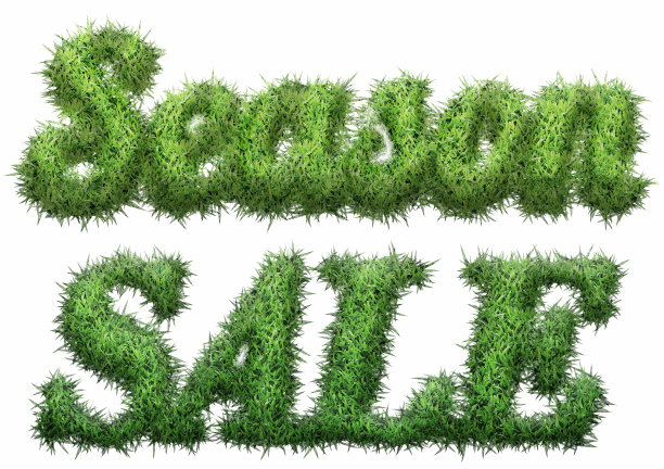 季节出售文字草。设计销售海报/横幅推广。孤立在白色背景上。3 d渲染。折扣标签，广告，特价图片下载