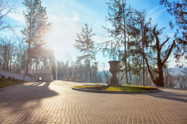 早上在公园里图片下载