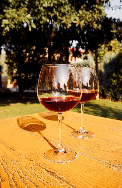 两杯新鲜红酒庆祝图片下载