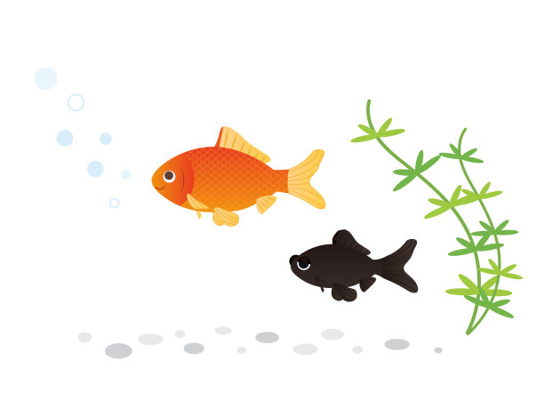 金鱼集图片下载