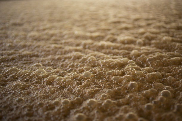 糖蜜发酵图片下载