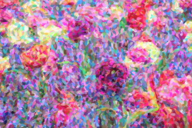 画美丽的装饰性荷兰花在春天的花园图片下载