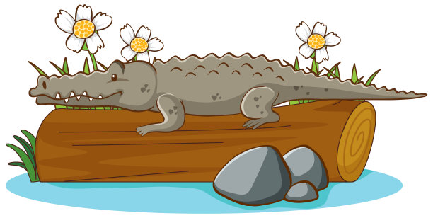 白色背景上的野生鳄鱼图片下载