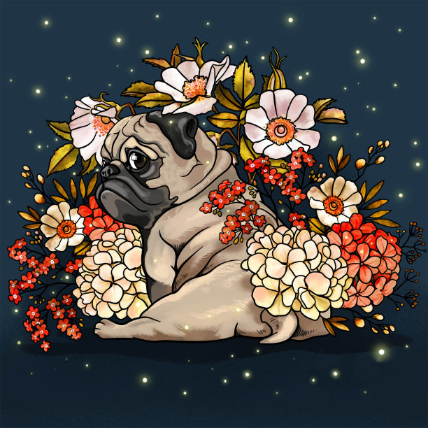 美丽的图画与美丽的颜色和有趣的设计的图片。图片下载