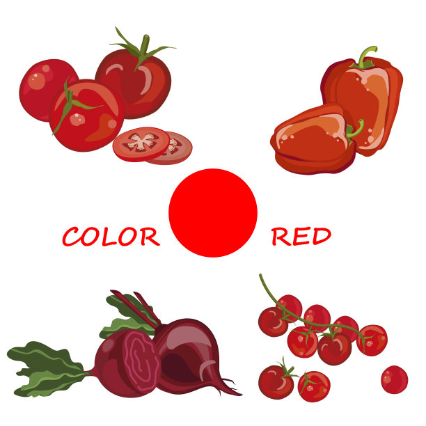 新鲜蔬菜,素食主义。矢量插图。图片下载