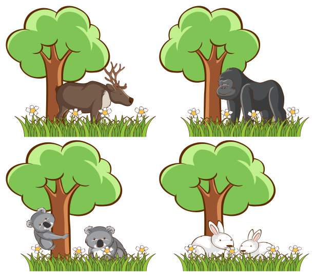 公园里的野生动物有池塘和树图片下载