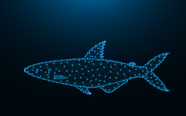 鱼由点和线在深蓝色的背景，动物线框网格多边形矢量插图图片下载