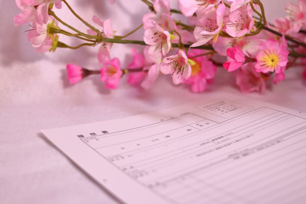 樱花和简历图片下载