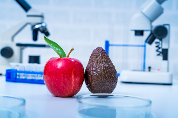 实验室蔬菜遗传育种，食品质量分析，图片下载