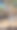 科卡海滩-一棵树上有很多快乐的标志图片下载