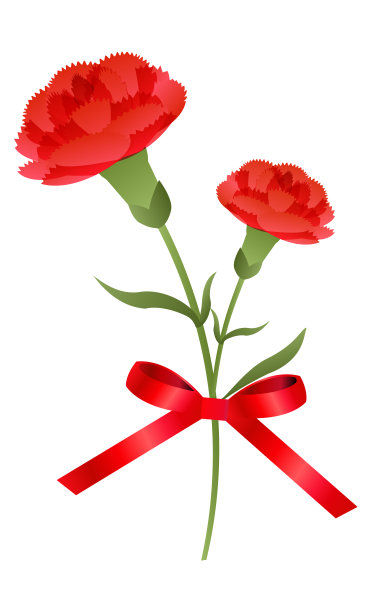 可爱和简单的康乃馨插图图片下载