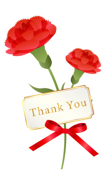 可爱和简单的康乃馨插图图片下载