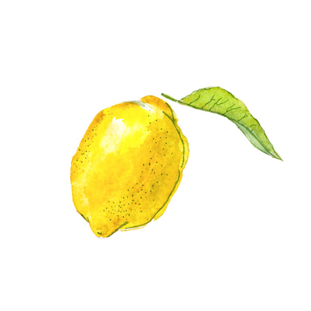 手绘水彩柠檬与树叶，设计元素。图片下载