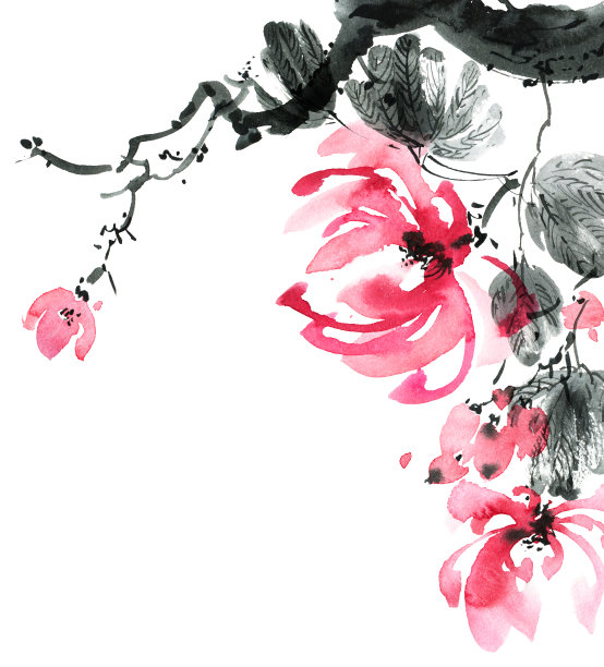 开花树枝图片下载