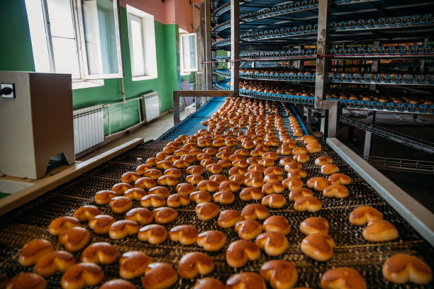 在传送带上烤饼干。自动化饼干和蛋糕烘焙生产线图片下载