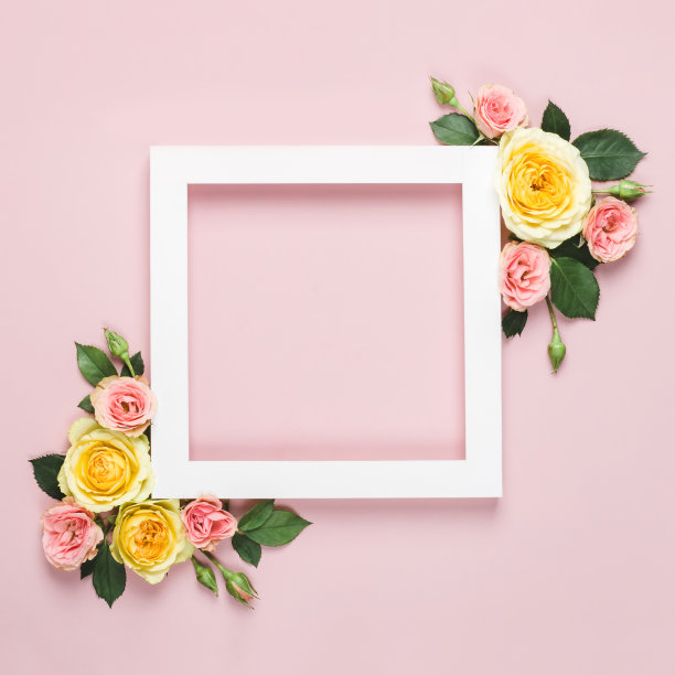 白色的纸框架美丽的玫瑰在粉红色的背景。最小假日概念与复制空间。女人节，情人节布置图片下载