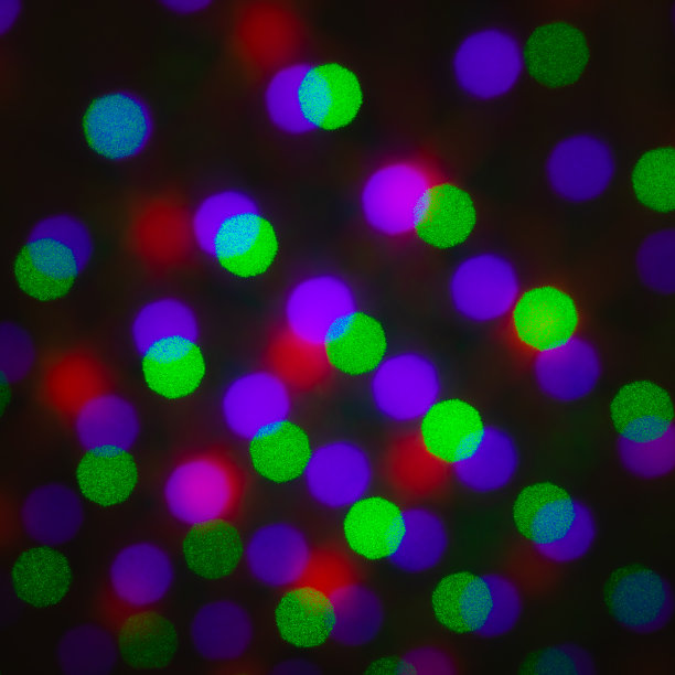 摘要散焦背景，彩色的绿色红紫色点圆上的黑色背景。照明模糊的灯光，像素点抽象图片的彩虹光点图片下载