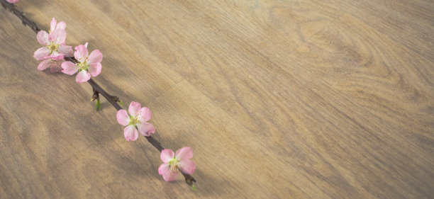 粉红色的杏树春天的花瓣;木制背景图片下载