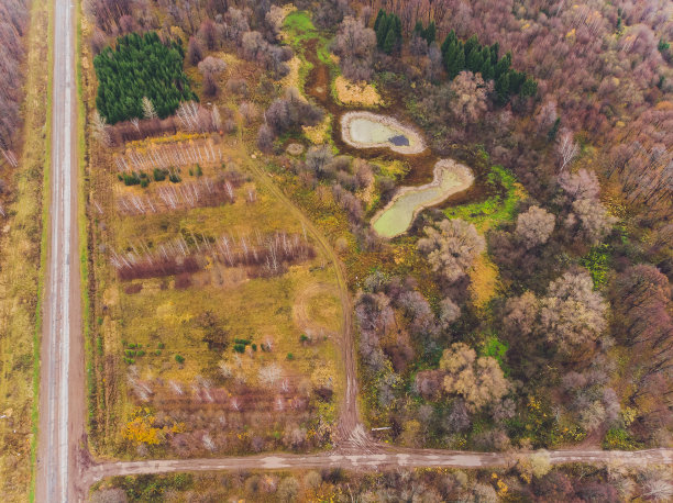 森林中的一条小河被污染了。图片下载