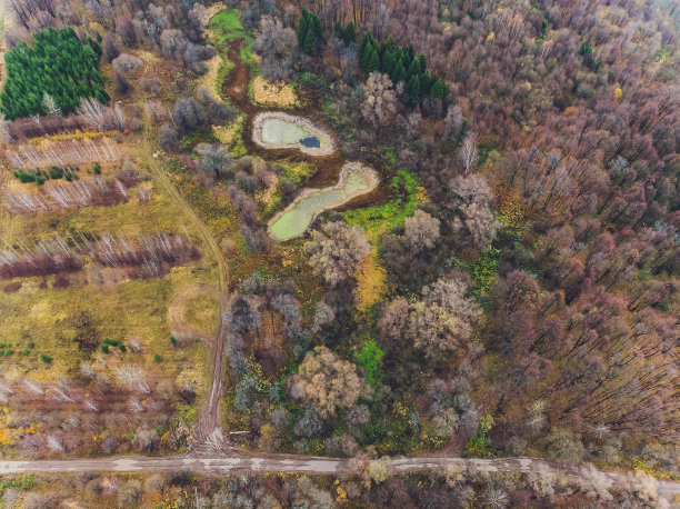 森林小河的污染图片下载