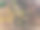 森林中的一条小河被污染了。图片下载