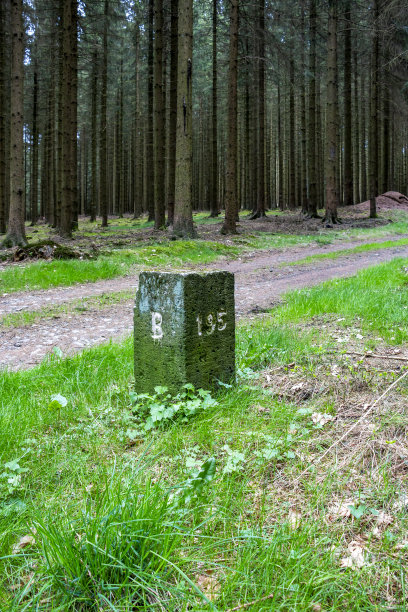 Belgium-Prussia镶边石图片下载