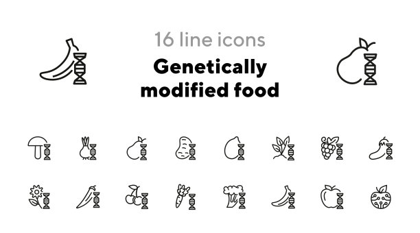 转基因食品线图标设置。改进剂浆果,苹果图片下载
