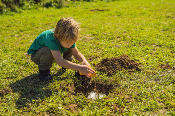 男孩玩垃圾分类游戏，埋了塑料餐具和可生物降解的餐具。图片下载