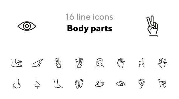 身体部分线条图标设置图片下载