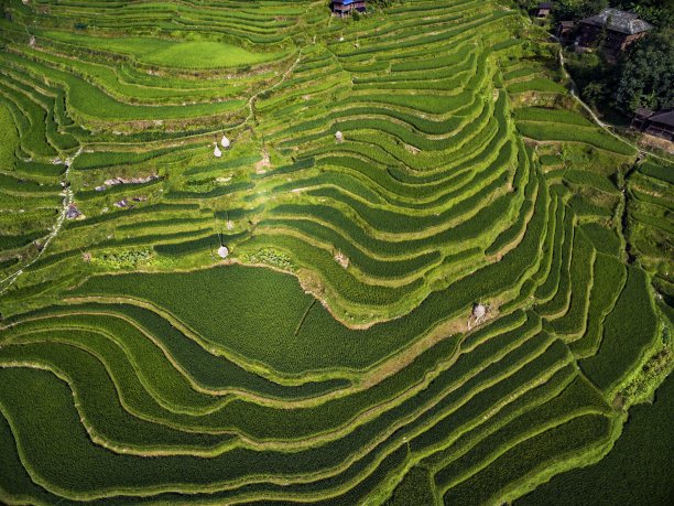 中国贵州梯田鸟瞰图图片下载
