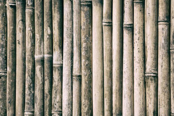近距离竹木背景纹理图片下载