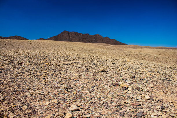 干旱荒地沙漠景观：全球变暖、环境、生态灾难概念风光图图片下载