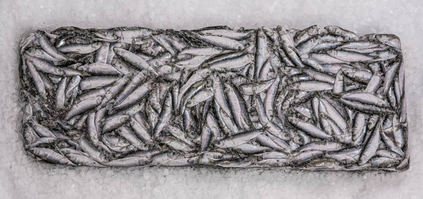 鱼市场冰面上的小砖特写。冬季钓鱼。冻银鱼。块冰。图片下载