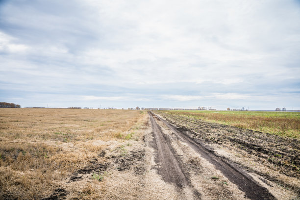 美丽的金色田野和多云的天空。乡间的秋日清晨。图片下载