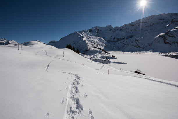 冬季仙境图片下载