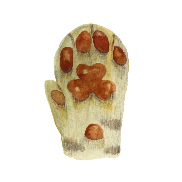 有三叶草垫的猫脚图片下载