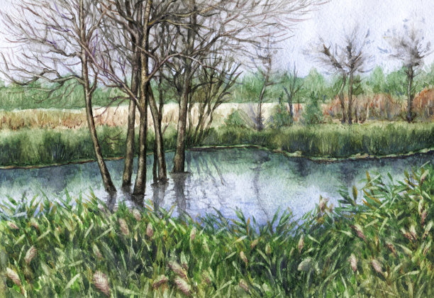 初秋的泥沼。图片下载