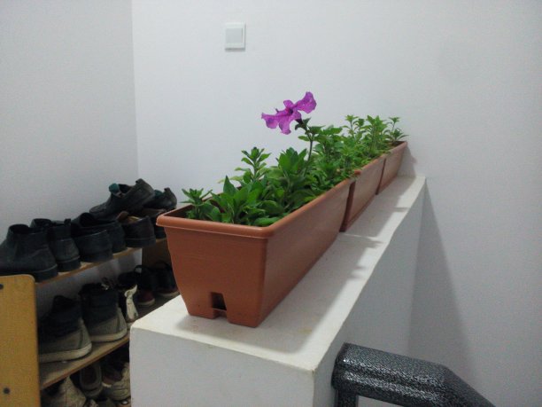 在一起图片下载