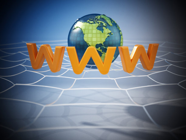 世界各地的WWW字母与二进制代码在蜘蛛网上图片下载