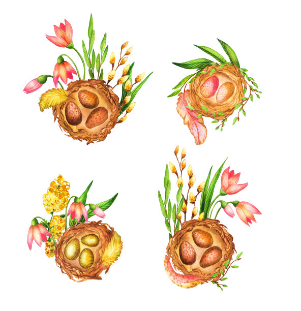 一套春天的水彩画:巢里有蛋，用花朵、树叶、羽毛和小树枝装饰。复古季节假日组合孤立在白色背景。贺卡，礼物和复活节。图片下载
