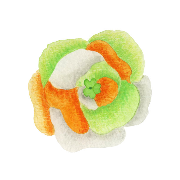 爱尔兰国旗颜色的猫图片下载