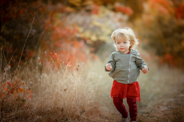 自然公园里5岁的孩子图片下载