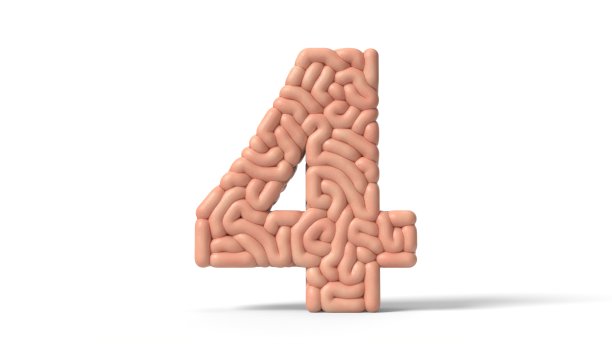 人类大脑的形状是4。三维演示图片下载